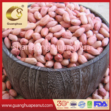 New Crop Healthy Long Round Shape Good Color Peanut Kernels